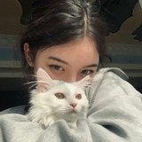 椿