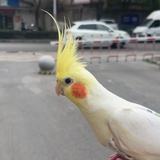一盒雨水