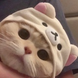 黄豆大蒜
