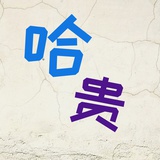 哈贵