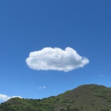 感光