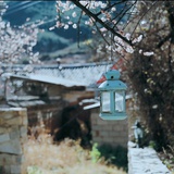 JING