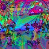 菜花DD