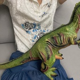 爱吃鱼的猫