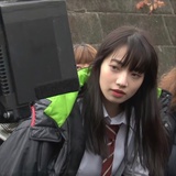 六棵