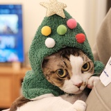 东狗的猫俪