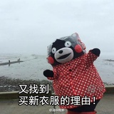 开心的猴子