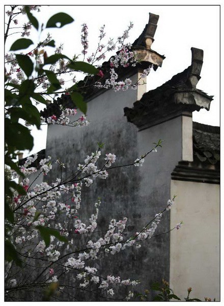 徐永华