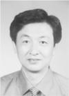 汪政