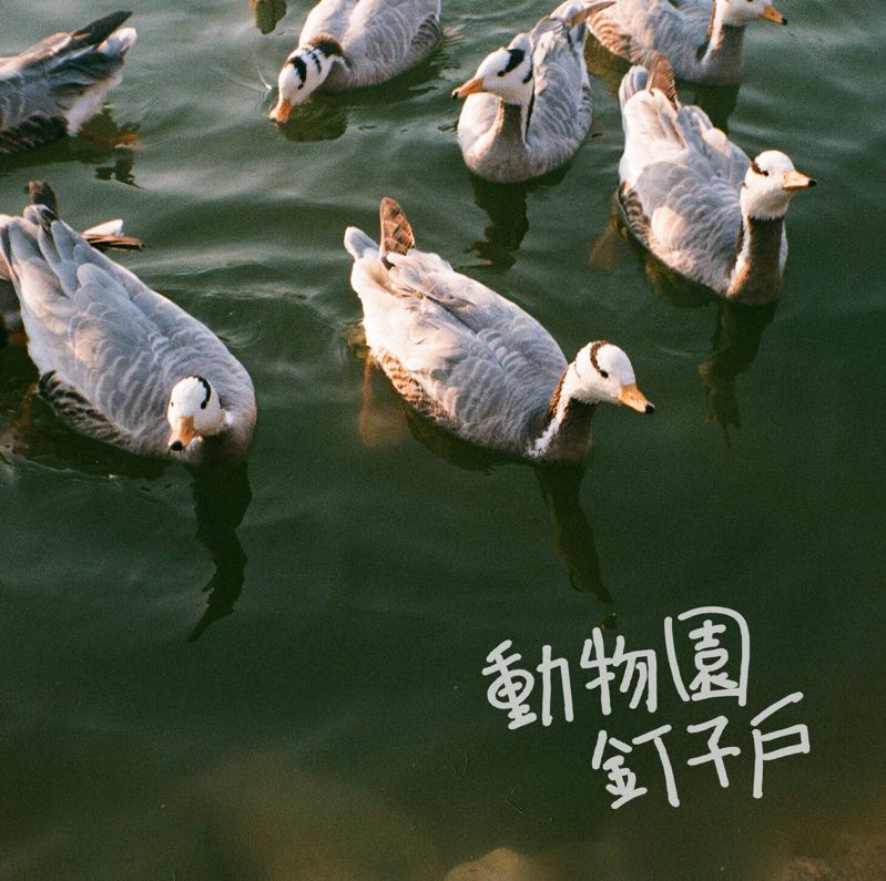1.April.2018