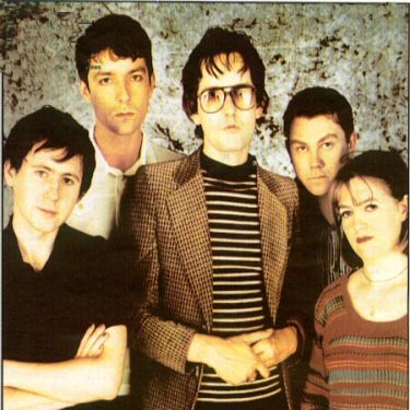 Pulp