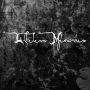 Lifeless Memories