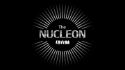 the nucleon 