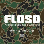 Hi FLOSO