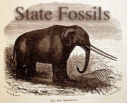 State Fossils