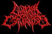 Guttural Corpora Cavernosa