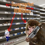 超市空报案猴
