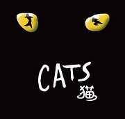 音乐剧《猫》官方小站