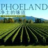 Phoeland新西兰葡萄酒