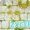 zxc0