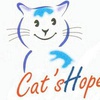 希望猫 Cat's Hope