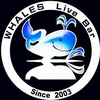 Whales Rock Bar