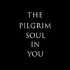 The Pilgrim Soul In You