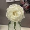 逝