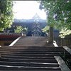 青城塔罗