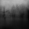 Dark Fount