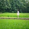 木子小鱼