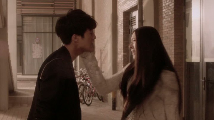 电视版 (中文字幕)