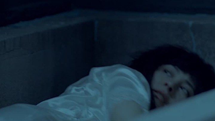 先行版