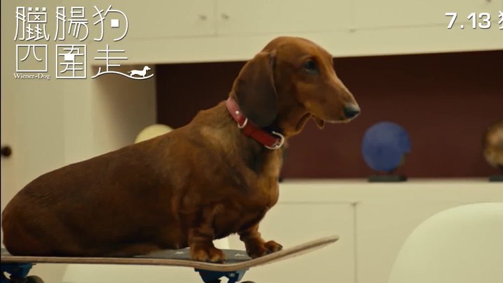 香港预告片 (中文字幕)