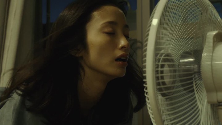 中国预告片：定制版 (中文字幕)