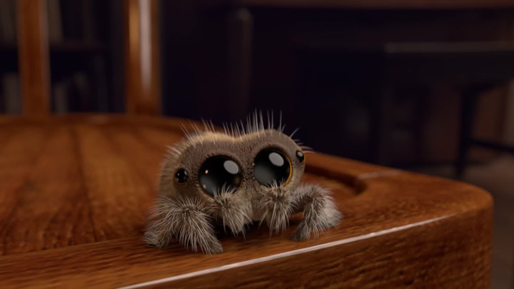 Lucas the Spider