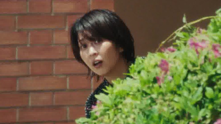 中国香港预告片 (中文字幕)