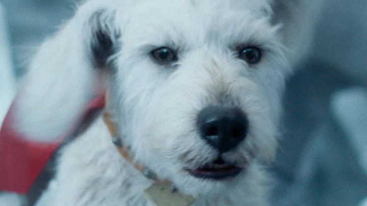 其它预告片 (中文字幕)