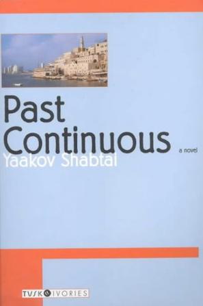 Past Continuous