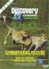 (VCD)动物的结构与功能-Discovery生命科学