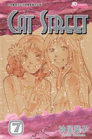 Cat Street 07