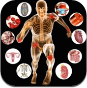 Principles of Anatomy and Physiology (iPad)