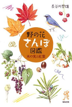野の花さんぽ図鑑―木の実と紅葉