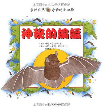神秘的蝙蝠-亲近自然奇妙的小动物