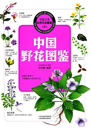 中国野花图鉴