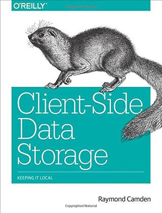 Client-Side Data Storage