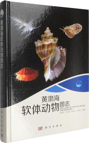 黄渤海软体动物图志