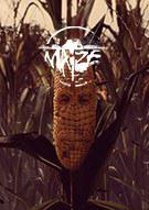 Maize 玉米