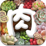 多肉植物 (iPhone / iPad)