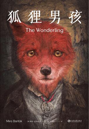 狐狸男孩书籍封面